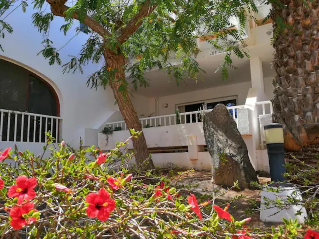 Comfortable Cleo Apartment With Large Terrace Costa Teguise Dış mekan fotoğraf