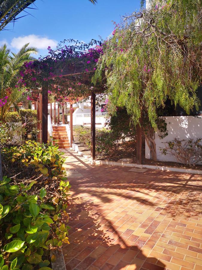 Comfortable Cleo Apartment With Large Terrace Costa Teguise Dış mekan fotoğraf